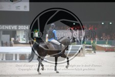 ref. photo 3399685