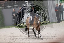 ref. photo 3399752