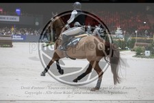 ref. photo 3399767