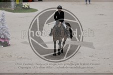 ref. photo 3399820