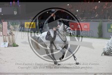 ref. photo 3399834