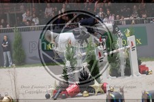 ref. photo 3399838