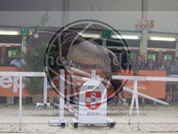 ref. photo 3899328