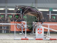 ref. photo 3899346