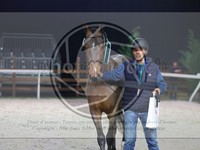 ref. photo 3899350