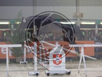 ref. photo 3899435