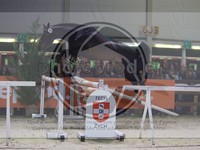 ref. photo 3899437