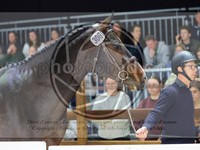 ref. photo 3899459