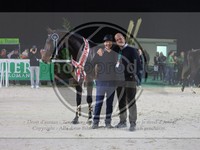 ref. photo 3899460