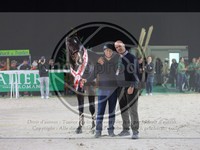 ref. photo 3899467