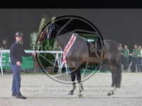ref. photo 3899474