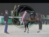 ref. photo 3899475