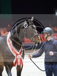 ref. photo 3899487