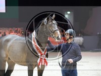 ref. photo 3899489