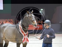 ref. photo 3899490