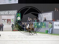 ref. photo 3899503