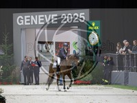 ref. photo 3899509