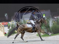 ref. photo 3899515