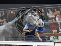 ref. photo 3899574
