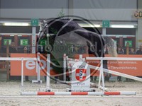 ref. photo 3899576