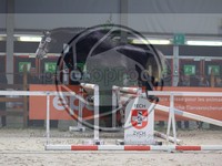 ref. photo 3899589
