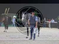 ref. photo 3899593