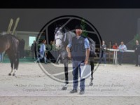 ref. photo 3899594