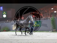 ref. photo 3899609