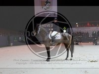 ref. photo 3899687