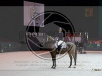 ref. photo 3899688