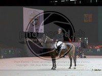 ref. photo 3899690