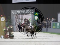 ref. photo 3899758
