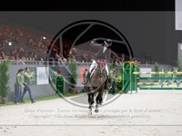 ref. photo 3899770