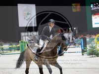 ref. photo 3899834