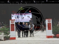 ref. photo 3899853