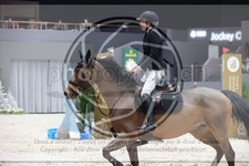 ref. photo 3396443