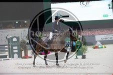 ref. photo 3396445
