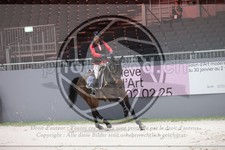 ref. photo 3396449