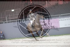 ref. photo 3396462