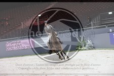 ref. photo 3396464