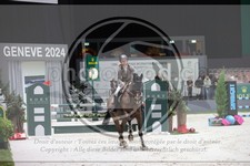ref. photo 3396467