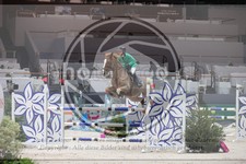 ref. photo 3396503