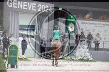 ref. photo 3396510