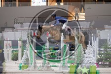 ref. photo 3396511