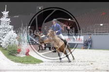 ref. photo 3396515
