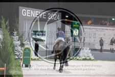 ref. photo 3396551
