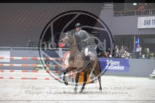 ref. photo 3396591