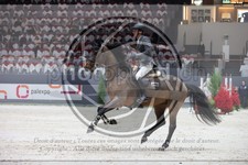 ref. photo 3396595