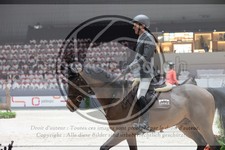 ref. photo 3396598
