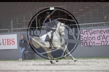 ref. photo 3396604